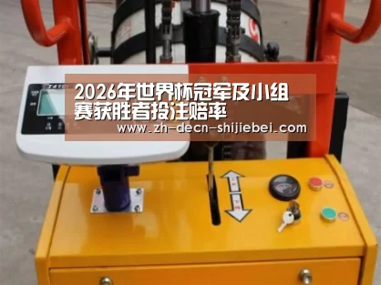 世界杯投注案例展示三