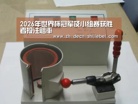 世界杯投注案例展示六(图1)