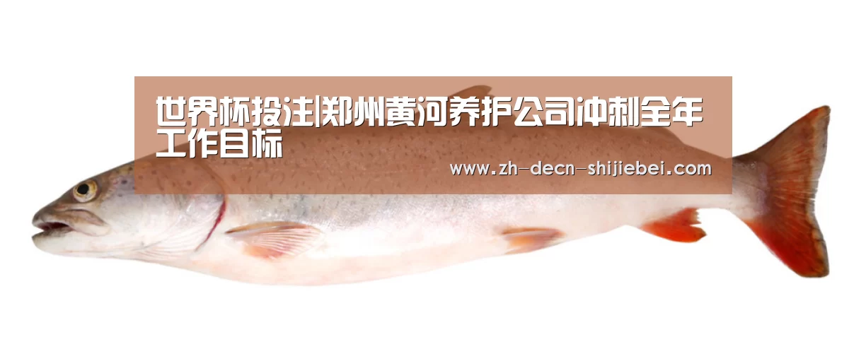 世界杯投注