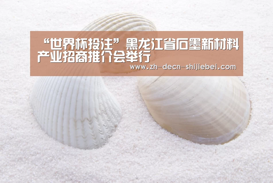 “世界杯投注”黑龙江省石墨新材料产业招商推介会举行(图2) 世界杯投注