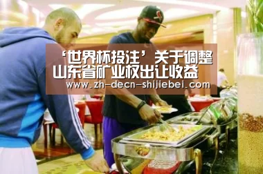 ‘世界杯投注’关于调整山东省矿业权出让收益征收管理政策的通知_政策法规_新闻_矿道网(图1) 世界杯投注